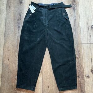 NWT Aritzia Babaton Balboa Pants in Green Velvet Size 12